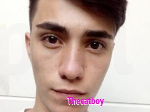 Thecatboy
