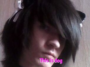 This_is_dog