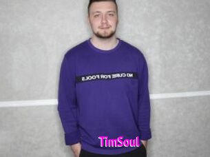 TimSoul