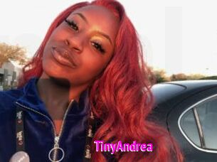 TinyAndrea