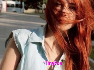 TinyFox