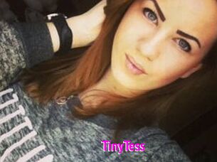 TinyTess