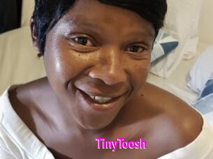 TinyToosh