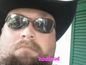 Txbullstud