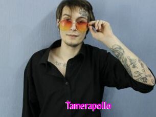 Tamerapollo