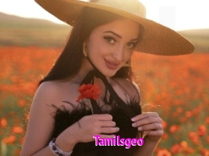 Tamilsgeo