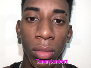 Tammylambert