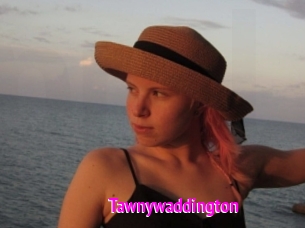 Tawnywaddington