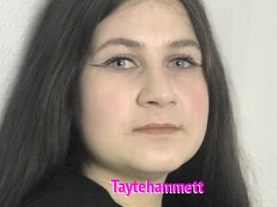 Taytehammett