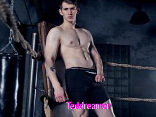 Teddreamer