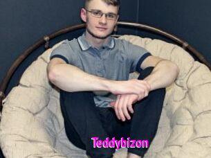 Teddybizon