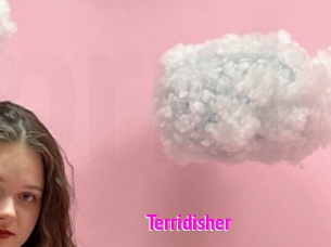 Terridisher