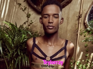 teylorray Porn Loverz