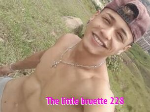 The_little_bruette_228