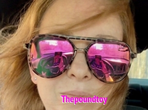 Thepoundtoy