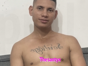 Thesantyx