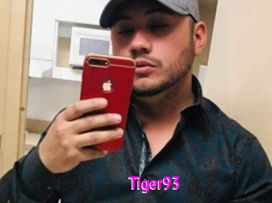 Tiger93