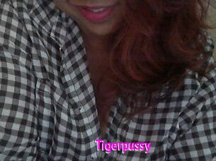 Tigerpussy
