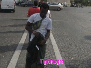 Tigrenegro