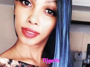 Tijgerin