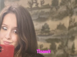 Tinamit