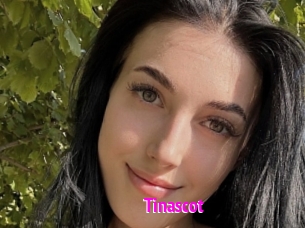 Tinascot