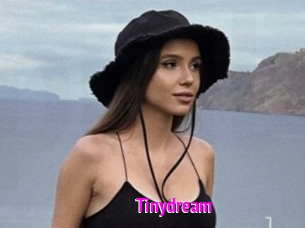Tinydream