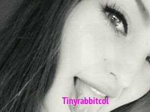 Tinyrabbitcol