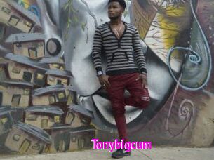 Tonybigcum