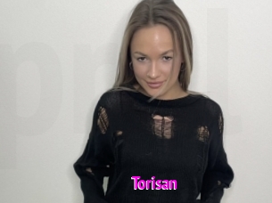 Torisan