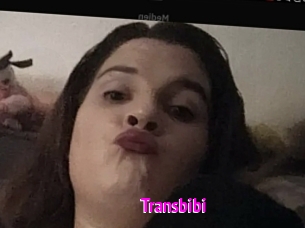 Transbibi