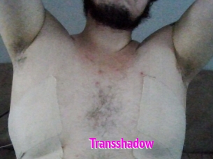Transshadow