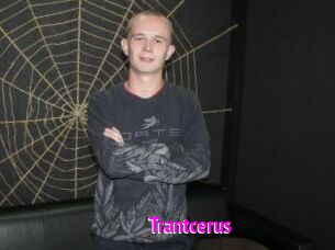 Trantcerus