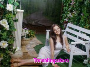 Tremblingsakura
