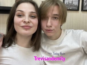 Trevisandemily
