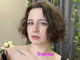 Trishrose