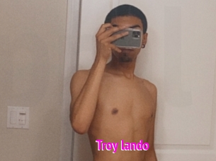 Troy_lando