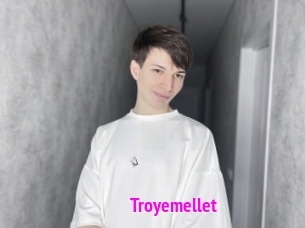 troyemellet Porn Loverz
