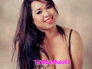 TsDREAMhalo01