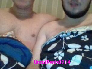 UncutPenis0214