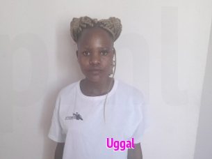 Uggal