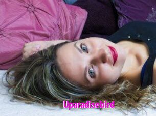 Uparadisebird