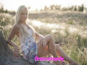 Ursecretsandy