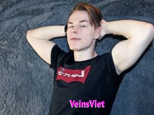 VeinsViet
