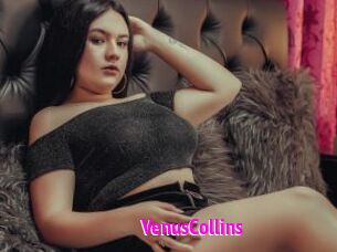 VenusCollins