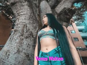 Venus_Walton