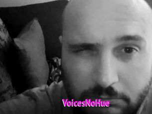 VoicesNoHue