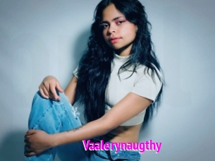 Vaalerynaugthy