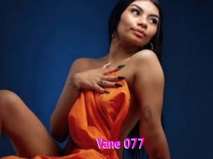 Vane_077