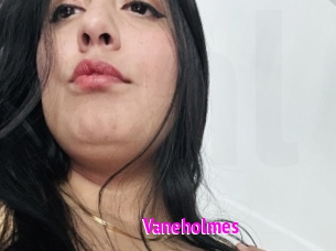 Vaneholmes
